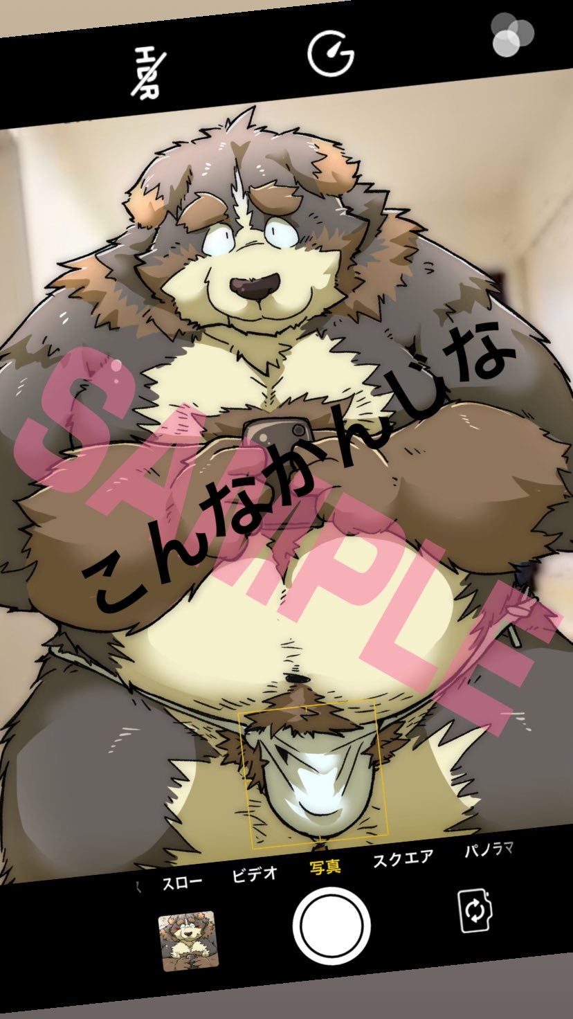 2020 9:16 anthro asian_clothing belly bernese_mountain_dog black_body black_fur brown_body brown_fur bulge canid canine canis clothing distracting_watermark domestic_dog east_asian_clothing fundoshi fur hi_res japanese_clothing japanese_text kemono male mammal molosser mountain_dog overweight overweight_anthro overweight_male phone pubes solo suishou0602 swiss_mountain_dog text underwear watermark