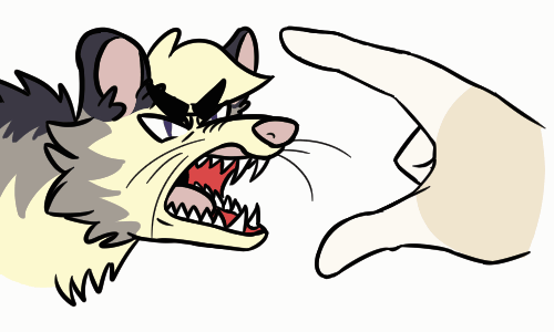 11natrium 2020 2_frame_animation 5:3 ambiguous_gender animated didelphid duo feral humanoid humor low_res mammal marsupial open_mouth pinch sharp_teeth short_playtime simple_background snarling teeth whiskers white_background wide_eyed