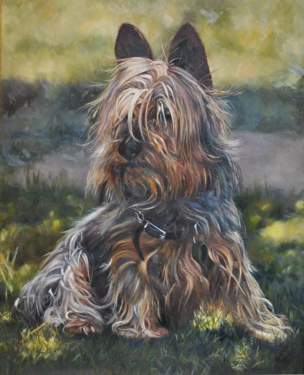 astrid_bruning canid canine canis collar domestic_dog feral fur grass hunting_dog long_fur mammal oil_painting_(artwork) painting_(artwork) realistic solo terrier traditional_media_(artwork)