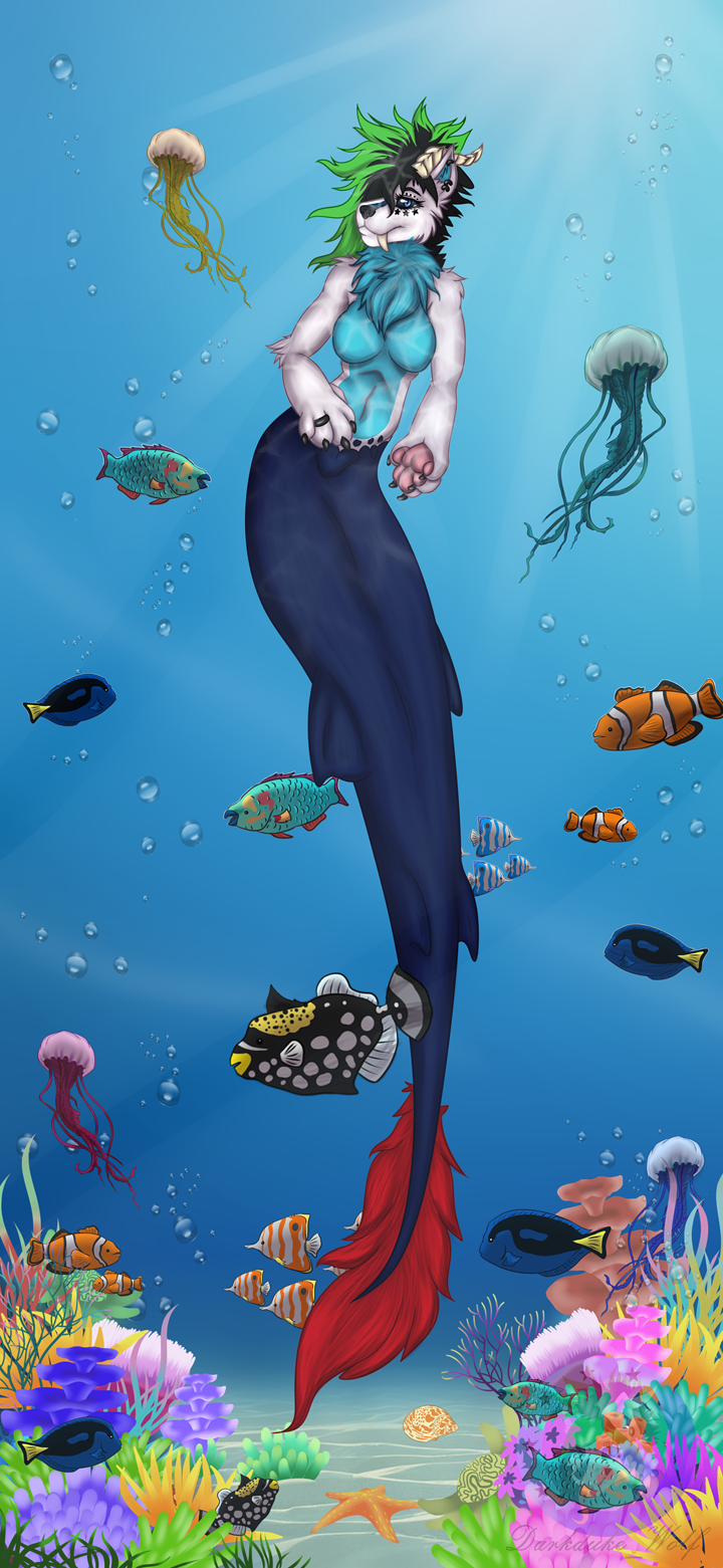 acanthurid anthozoan anthro asterozoan big_hands blue_eyes breasts bubble canid canine canis clownfish cnidarian coral coral_reef dark_sclera darkdukewolf domestic_dog dragon ear_piercing echinoderm elissabeth_(darkdukewolf) female fish fur hair hi_res horn hybrid jellyfish long_hair mammal marine medusozoan merfolk multicolored_body multicolored_fur pawpads piercing pomacentrid ring shell solo starfish teeth underwater water