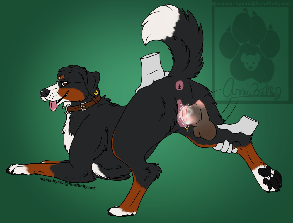 anatomically_correct anatomically_correct_genitalia anatomically_correct_pussy animal_genitalia animal_penis animal_pussy anus ass_up bernese_mountain_dog black_body black_fur bodily_fluids breath brown_body brown_fur butt canid canine canine_pussy canis collar cum cum_in_pussy cum_inside disembodied_hand disembodied_penis domestic_dog ear_piercing ear_ring equine_penis female feral floppy_ears fur genital_fluids genitals looking_back male mama-hyena mammal molosser mountain_dog multicolored_body multicolored_fur panting pawpads paws penetration penis piercing presenting presenting_hindquarters presenting_pussy pussy raised_leg raised_tail sex solo swiss_mountain_dog vaginal vaginal_penetration