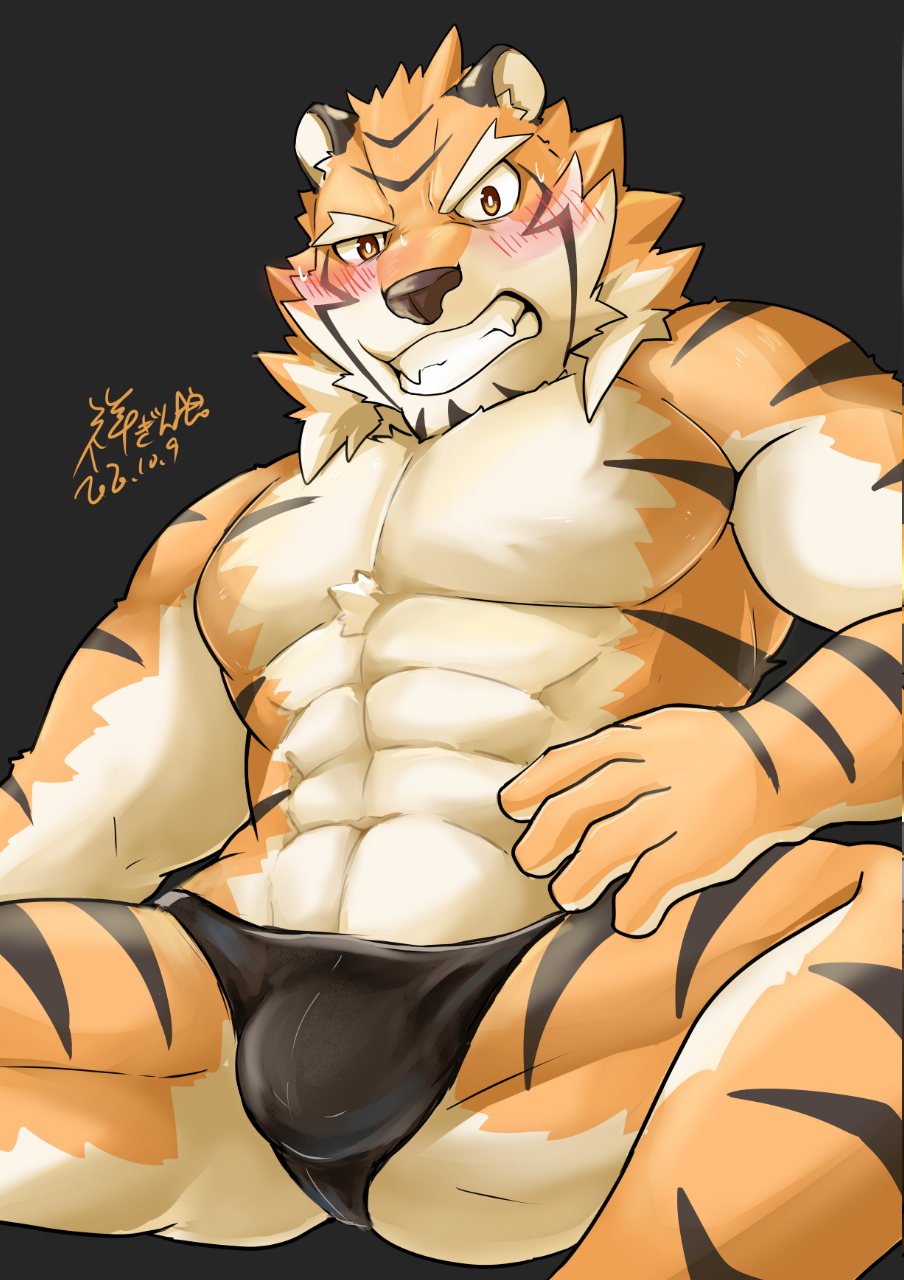 2020 a82102111 abs anthro black_clothing black_underwear blush bodily_fluids bulge clenched_teeth clothed clothing felid fur hi_res live-a-hero male mammal muscular muscular_anthro muscular_male orange_body orange_fur pantherine pecs raiki solo striped_body striped_fur stripes sweat sweatdrop teeth tiger topless underwear video_games