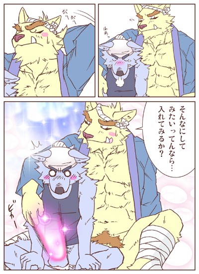 2007 anthro balls barazoku barely_visible_genitalia barely_visible_penis blush canid canine canis censored comic domestic_dog duo genitals happi_(clothing) japanese_text kemono male male/male mammal muscular muscular_male penis ryuta-h sitting text