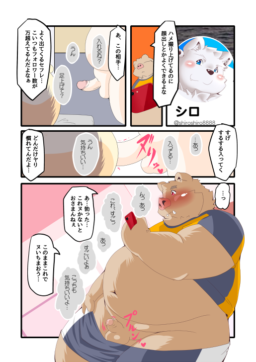 2021 anal anthro balls blush butt cellphone comic erection fur genitals group japanese_text kemono male male/male mammal overweight overweight_male penis phone polar_bear sex smartphone suid suina sus_(pig) text tomoya_(artist) tomoyamaru tomoyamaru_alt ursid ursine white_body white_fur wild_boar