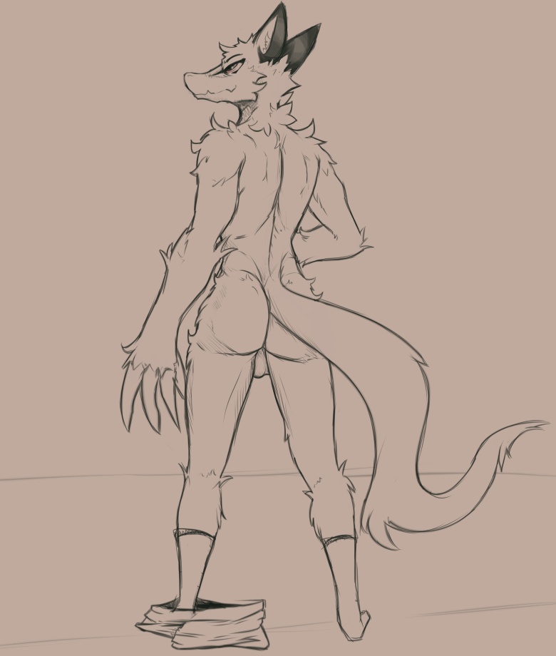anthro arm_tuft backsack balls biped canid claws clothing dropped_pants elbow_tufts facial_markings fluffy fluffy_tail footwear genitals head_markings humanoid lawyerdog long_claws male mammal markings nude rear_view snout socks solo tuft
