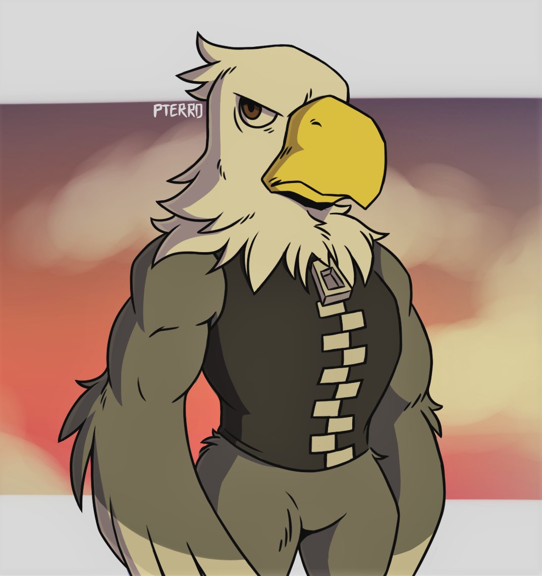 2018 accipitrid accipitriform animal_crossing anthro apollo_(animal_crossing) athletic athletic_anthro athletic_male avian bald_eagle beak biceps bird bottomless brown_eyes clothed clothing digital_drawing_(artwork) digital_media_(artwork) eagle feathers featureless_crotch frown grey_body grey_feathers jacket looking_at_viewer male multicolored_body multicolored_feathers nintendo portrait pterro sea_eagle signature simple_background solo three-quarter_portrait topwear video_games white_body white_feathers yellow_beak zipper