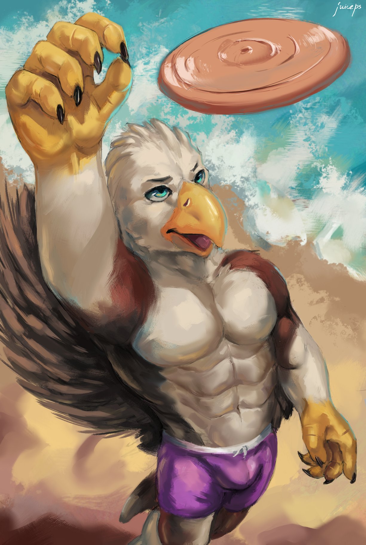 accipitrid accipitriform anthro avian beach beak bird brown_body brown_feathers claws clothing countershade_torso countershading eagle feathers frisbee hi_res juiceps male sand sea seaside solo swimming_trunks swimwear talons topless_male water white_body white_feathers