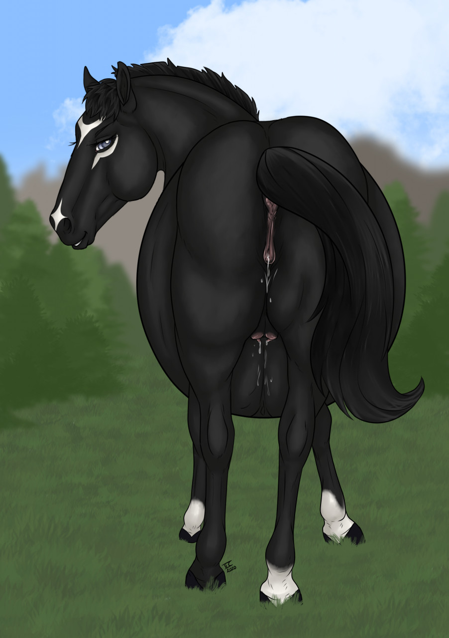 2020 anatomically_correct anatomically_correct_anus anatomically_correct_genitalia anatomically_correct_pussy animal_genitalia animal_pussy anus belly big_belly black_mane black_tail bodily_fluids butt digital_media_(artwork) equid equine equine_anus equine_pussy female feral genital_fluids genitals hi_res horse inflation leaking looking_at_viewer mammal mane nipples pregnant pussy simple_background solo tabascocat tail_off_to_the_side wet