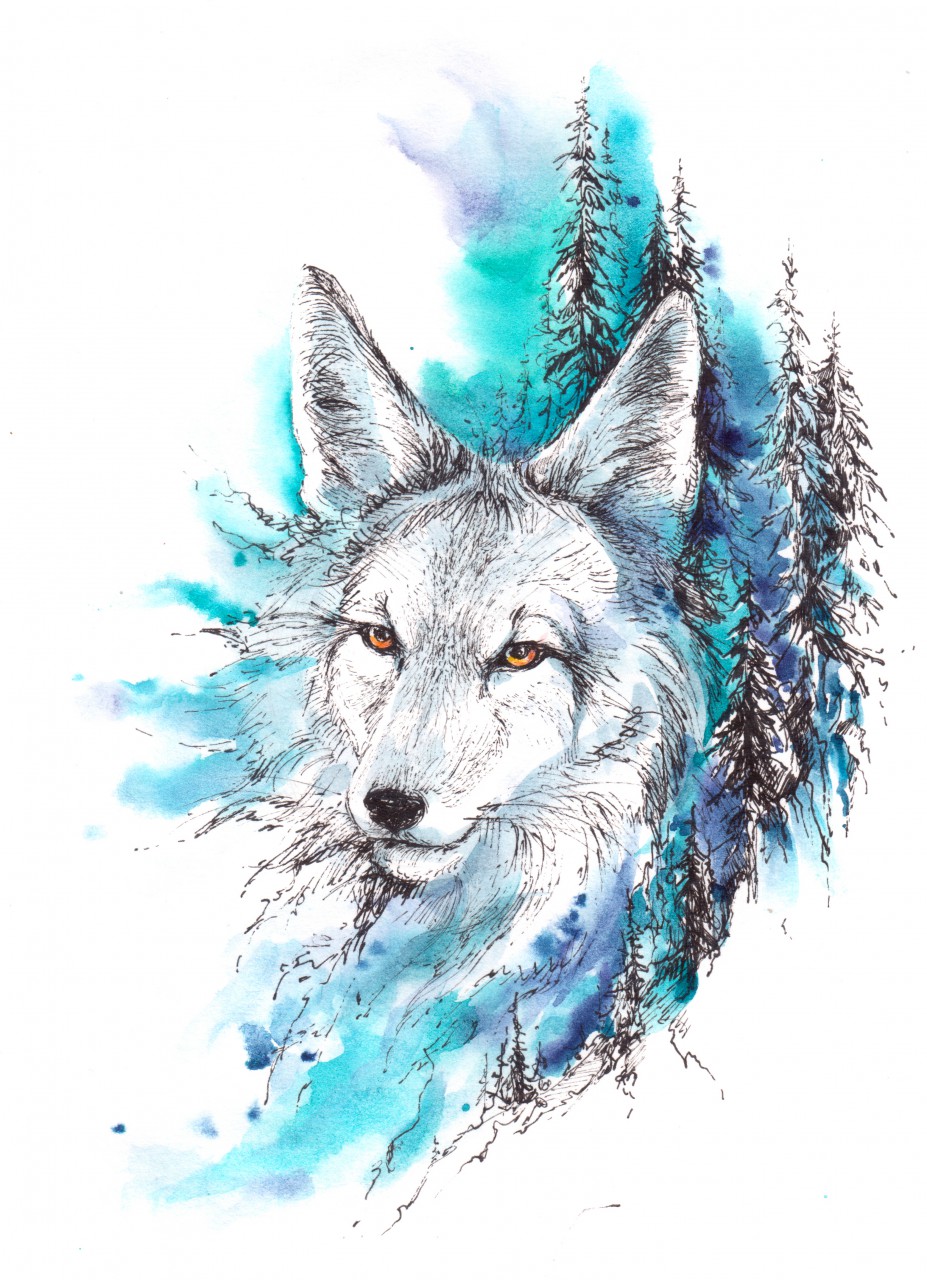 2019 abstract abstract_background anthro black_nose canid canine canis coyote elkir evergreen_tree forest fur hi_res landscape male mammal painting_(artwork) pen_(artwork) pine_tree plant simple_background solo splashes traditional_media_(artwork) tree watercolor_(artwork) white_background white_body white_fur yellow_eyes