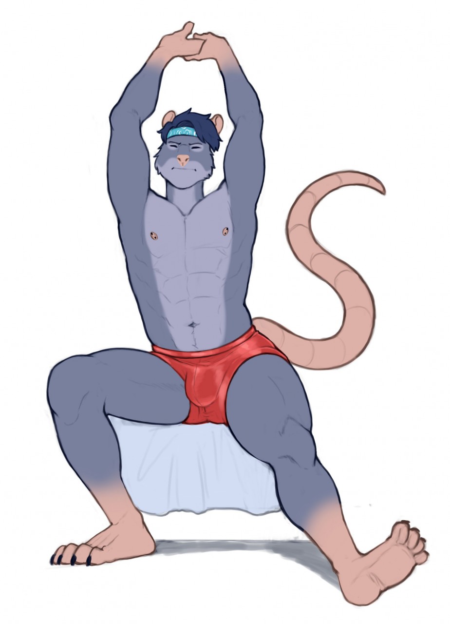 abs accessory anthro blue_hair bulge clothing eyes_closed hair hands_above_head headband hi_res male mammal murid murine muscular muscular_anthro muscular_male nipple_piercing nipples one-two only piercing purpledragonrei rat rodent sitting solo stretching underwear