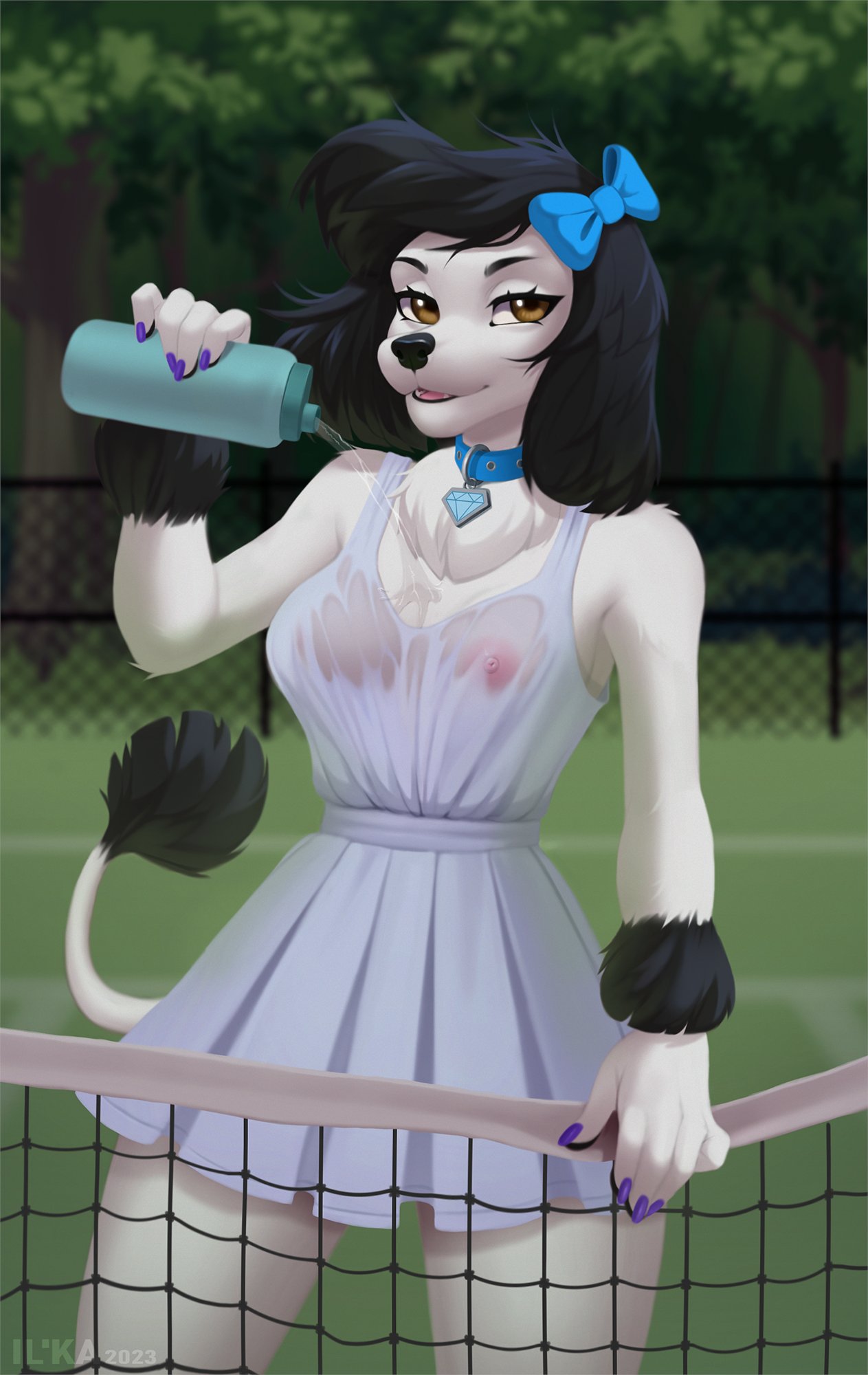 anthro black_body black_fur black_nose brown_eyes canid canine canis clothing collar domestic_dog female fur hi_res il'ka looking_at_viewer mammal nipples outside solo sport tail tail_tuft tennis tuft water wet wet_clothing white_body white_fur