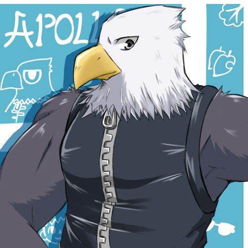 1:1 2017 accipitrid accipitriform animal_crossing anthro apollo_(animal_crossing) avian bald_eagle barazoku beak biceps bird character_name clothing digital_media_(artwork) eagle feathers front_view grey_body grey_eyes grey_feathers half-length_portrait kisagune looking_at_viewer low_res male multicolored_body multicolored_feathers muscular muscular_anthro muscular_male nintendo pecs portrait sea_eagle simple_background solo topwear vest video_games white_body white_feathers yellow_beak zipper