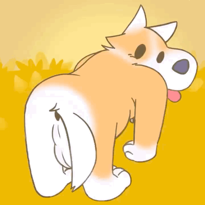 animated anthro anus balls belly bent_over big_balls bouncing_balls bouncing_belly breadbeast_(artist) butt canid canine canis chubby_anthro chubby_male dark_nipples domestic_dog fur genitals looking_at_viewer looking_back male mammal nintendo nipples on_hands orange_body orange_fur part_time_ufo paws perineum presenting presenting_balls presenting_hindquarters rear_view shaking_butt short_stack simple_animation simple_background simple_coloring simple_eyes slightly_chubby solo solo_focus spinning tongue tongue_out undefined video_games white_body white_fur