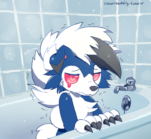 2017 3_fingers bathroom bathtub black_claws black_nose blue_body blue_fur bodily_fluids canid canine claws crying cute_face female fiddleafox fingers fluffy_chest fur looking_at_viewer low_res lycanroc mammal midnight_lycanroc moro_(fiddleafox) nintendo pok&eacute;mon pok&eacute;mon_(species) red_eyes sad shiny_pok&eacute;mon small_tail solo tears tuft video_games wavy_mouth whining white_body white_fur