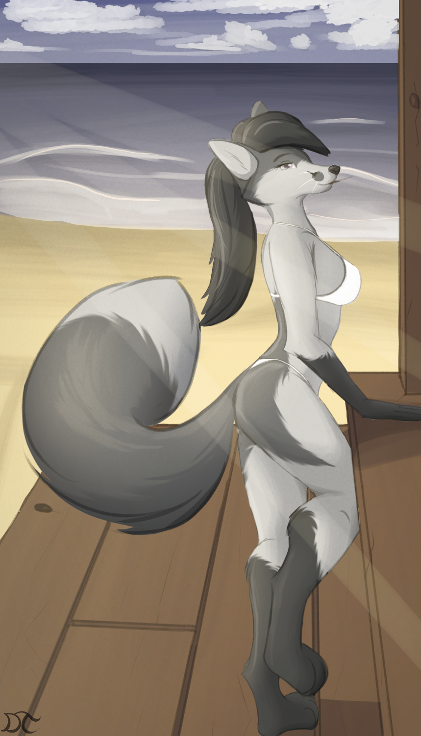 anthro barefoot beach bikini biped breasts butt butt_markings canid canine clothed clothing day detailed_background digitigrade dipstick_tail dreamtanker feet female fingers fox fur gloves_(marking) godrays grey_(dreamtanker) grey_body grey_hair hair half-closed_eyes hi_res hindpaw leg_markings looking_at_viewer mammal markings mostly_nude multicolored_body multicolored_fur multicolored_tail narrowed_eyes outside paws pinup planks ponytail pose purple_eyes sea seaside seductive shaded side_boob side_view signature smile socks_marking solo standing sun sunrays swimwear two_tone_tail water wave white_bikini white_clothing white_swimwear