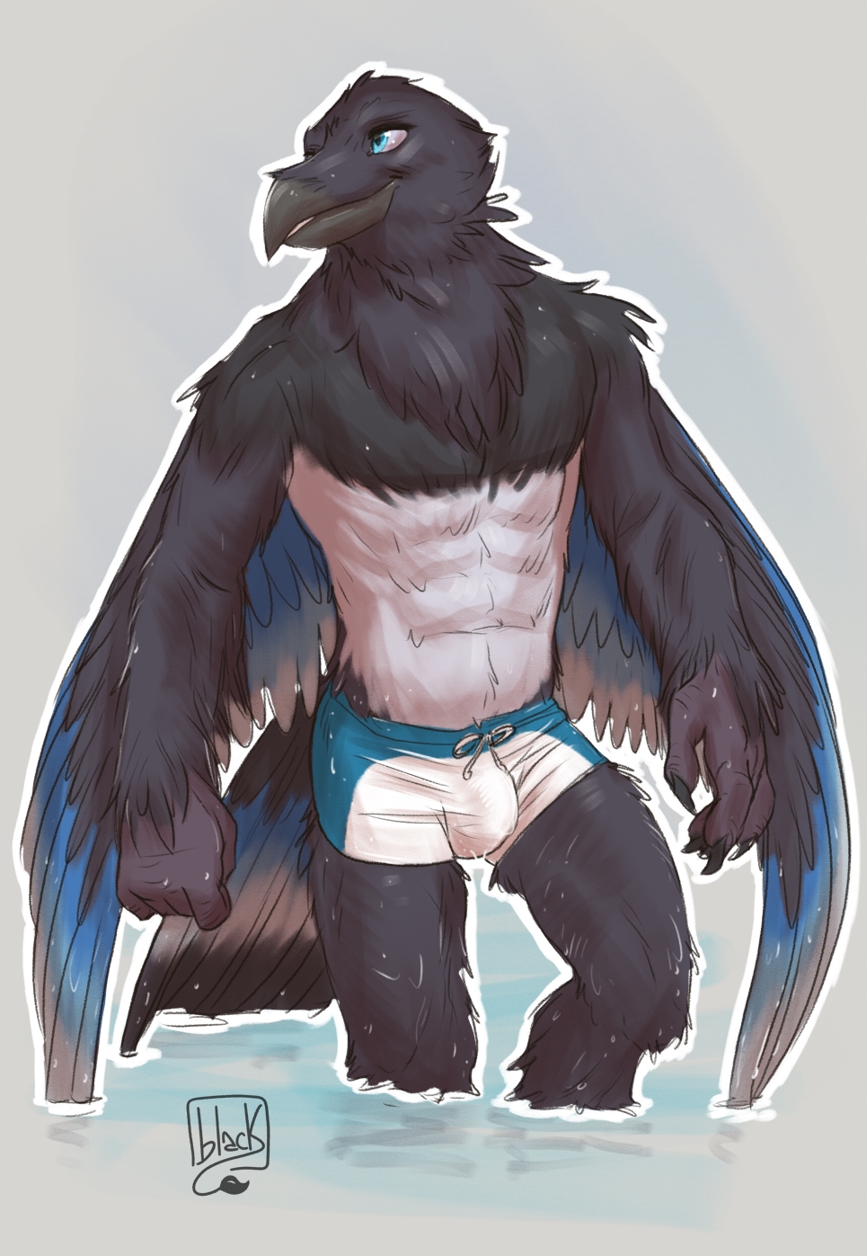 abs anthro avian bird black_body blue_body blue_eyes blue_feathers clothing corvid feathers hi_res lion21 looking_aside male neck_tuft oscine passerine simple_background slightly_muscular slim solo swimwear tail_feathers talons tight_clothing tuft wet wet_body wet_feathers white_body white_feathers wings