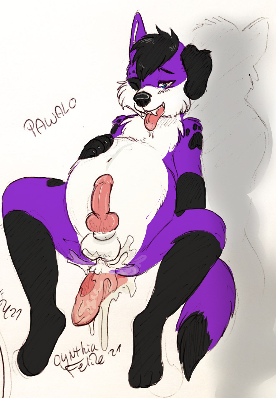 anthro balls belly belly_expansion belly_inflation big_(disambiguation) big_penis bodily_fluids canid canine canis cum cum_inflation cynthiafeline domestic_dog duo expansion fur genital_fluids genitals hi_res inflation male mammal pawalo penis purple_body purple_fur wolf