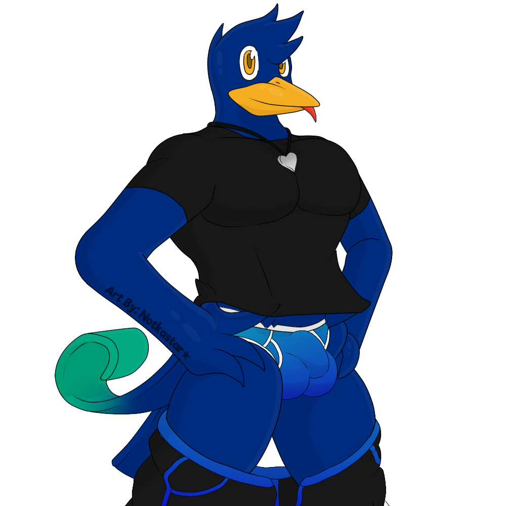 1:1 alpha_channel anthro avian balls beak bird briefs bulge clothed clothing clothing_lift genitals hair male muscular muscular_anthro muscular_male notkastar notska_(character) pants_down partially_clothed pecs presenting shirt shirt_lift smile solo text tongue tongue_out topwear underwear