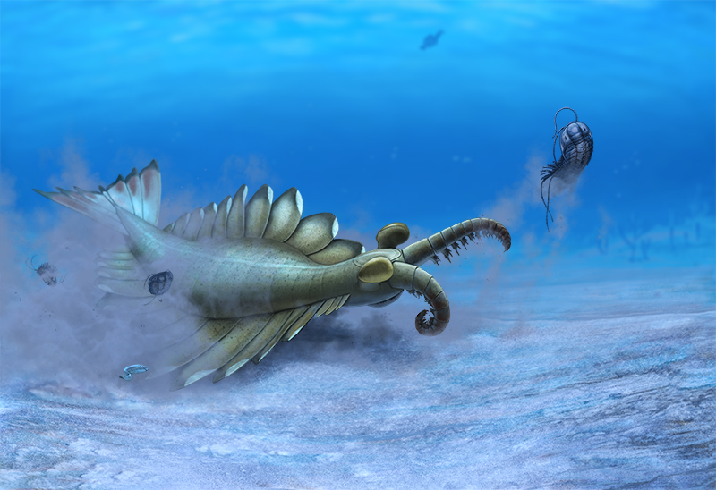 2014 ambiguous_gender anomalocarid anomalocaris arthropod blue_body blue_exoskeleton chasing claws detailed_background duo_focus exoskeleton feral great_appendages grey_body group imminent_death imminent_vore larger_ambiguous larger_feral marine olorotitan_(artist) pikaia sand size_difference smaller_ambiguous smaller_feral swimming trilobite underwater water yellow_eyes