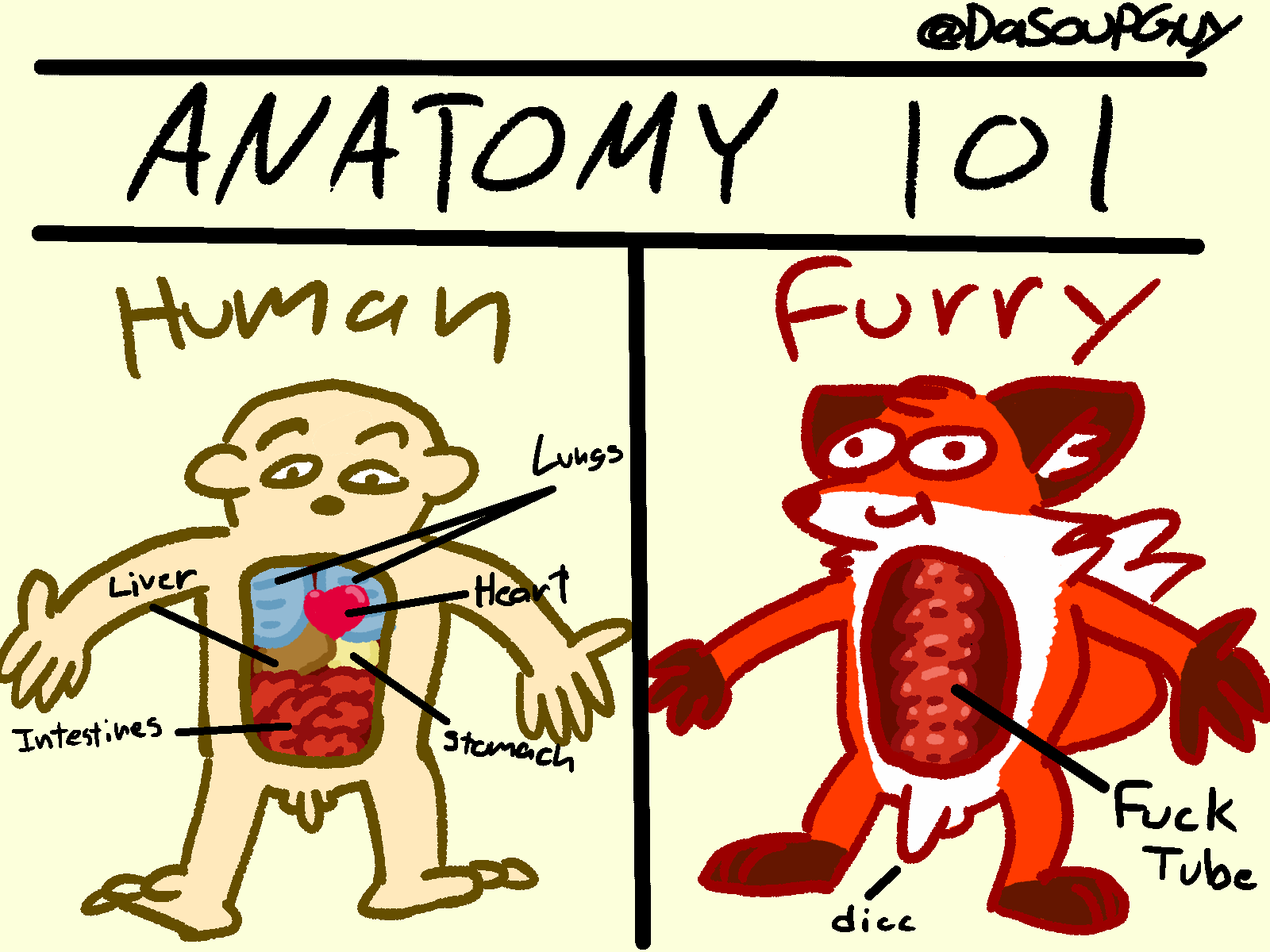2020 anatomy anthro balls canid canine comparing dasoupguy diagram duo english_text flaccid fox genitals guts heart_(organ) hi_res human humor intestines liver lung male mammal nude organs penis profanity simple_background smile standing stomach text the_truth url white_background