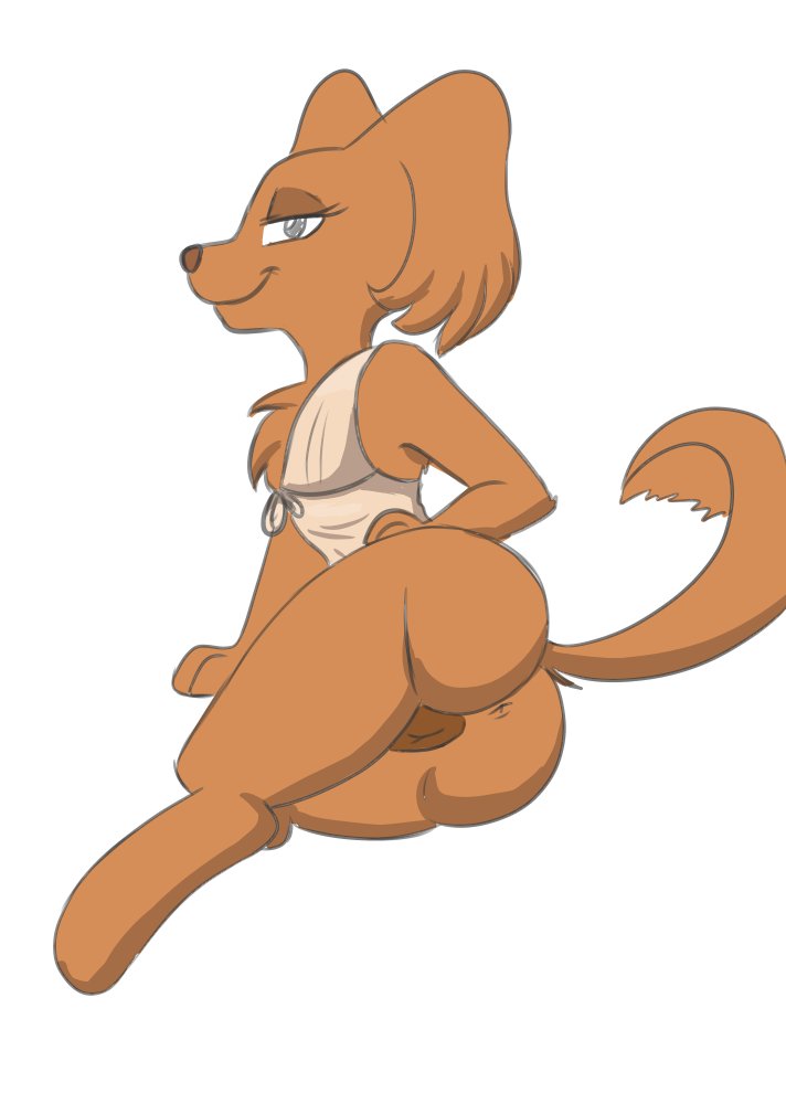 2020 anal animal_genitalia animal_pussy anus bedroom_eyes big_butt brown_body brown_fur brown_nose butt canid canine canine_pussy canis clothed clothed_feral clothing collegehumor colored digital_drawing_(artwork) digital_media_(artwork) domestic_dog dress female feral full-length_portrait fur genitals grey_eyes half-closed_eyes looking_at_viewer looking_back mammal narrowed_eyes naughty_face naughty_smile no_underwear portrait presenting presenting_hindquarters presenting_pussy principericardo pussy raised_tail rear_shot rear_view seductive shaded simple_background smile smiling_at_viewer solo spade spreading thick_thighs topwear upskirt white_background wide_hips