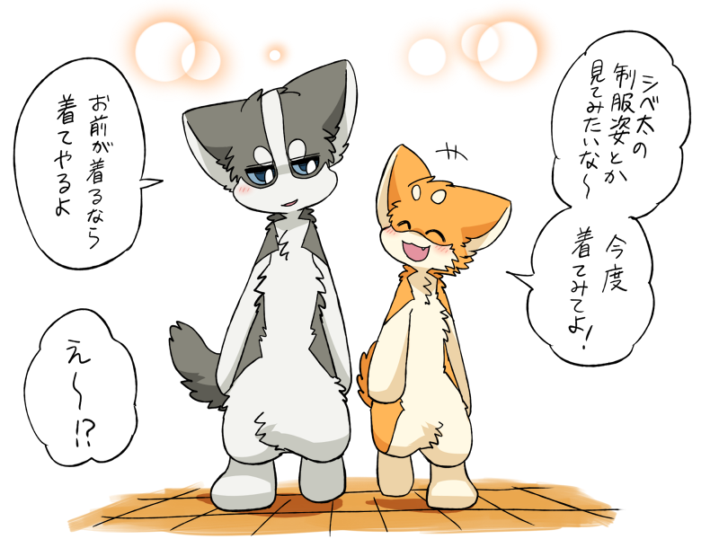 2024 ambiguous_gender ayaka blue_eyes blush canid canine canis comic countershading dialogue domestic_dog duo female_(lore) feral fur grey_body grey_fur husky japanese_text kemono kyappy male_(lore) mammal manga nordic_sled_dog orange_body orange_fur semi-anthro shiba_inu shibeta spitz tan_body tan_fur tan_inner_ear text translated white_body white_fur white_inner_ear