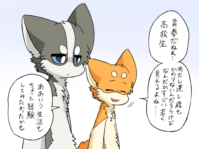 2024 ambiguous_gender ayaka blue_eyes canid canine canis comic countershading dialogue domestic_dog duo female_(lore) feral fur grey_body grey_fur husky japanese_text kemono kyappy male_(lore) mammal manga nordic_sled_dog orange_body orange_fur semi-anthro shiba_inu shibeta spitz tan_body tan_fur tan_inner_ear text translated white_body white_fur white_inner_ear