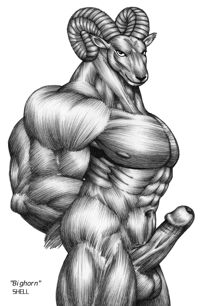 anthro balls big_muscles bighorn_sheep bovid caprine erection genitals horn huge_muscles humanoid_genitalia humanoid_penis hyper hyper_muscles jay_shell looking_at_viewer male mammal muscular navel nipples penis sheep smile solo