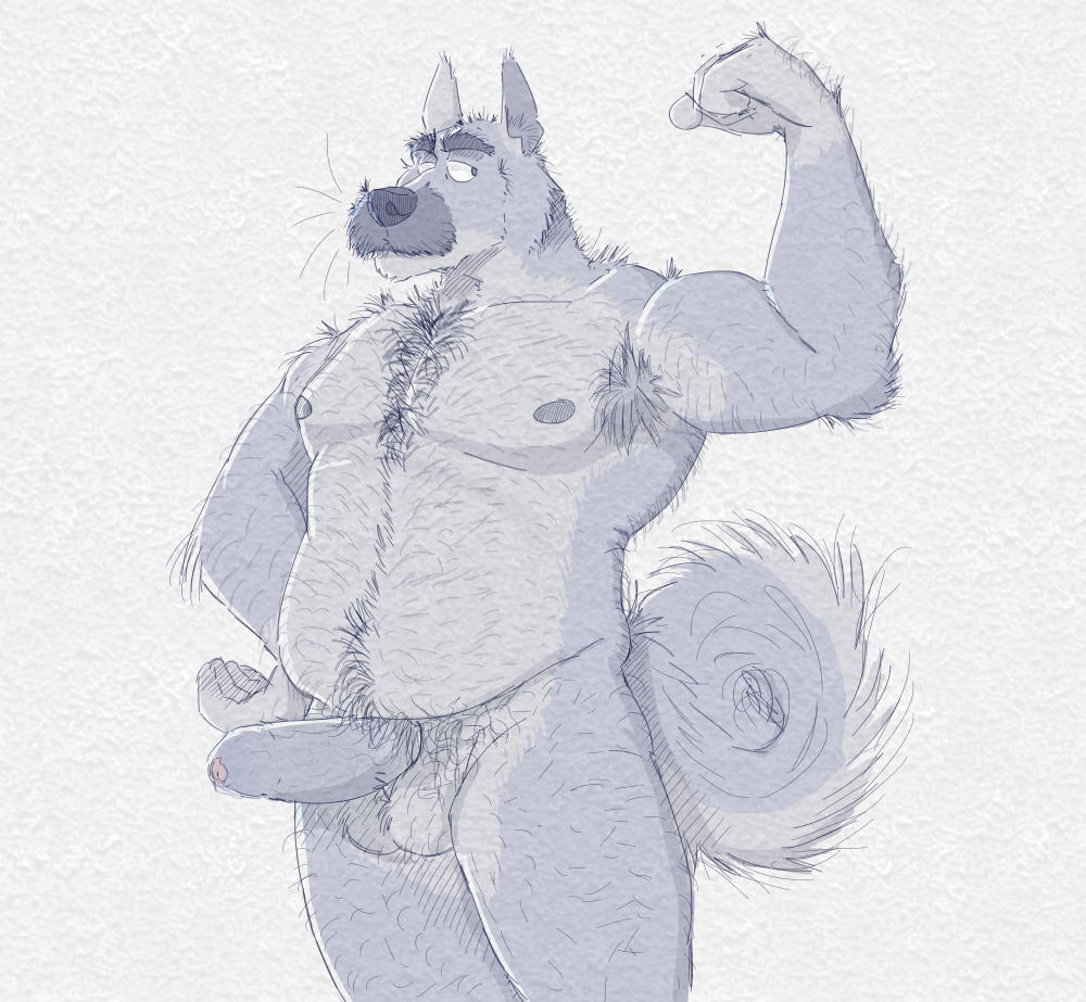 anthro armpit_hair bad_bovine balls bodily_fluids body_hair canid canine chest_hair erection eyebrows facial_hair flexing flexing_bicep fur genital_fluids genitals grey_body grey_fur hairy hairy_balls leg_hair light_belly looking_at_viewer male mammal musclegut muscular mustache nipples old old_man precum pubes solo thick_eyebrows whiskers