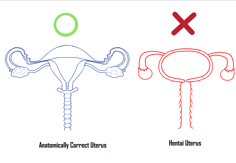 anatomically_correct crossman female genitals how-to pussy uterus