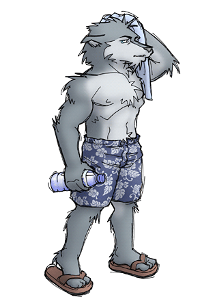 2004 anthro biped canid canine canis clothing flip_flops footwear fur grey_body grey_fur kemono low_res male mammal sandals solo swimwear wolf yuuki-abe