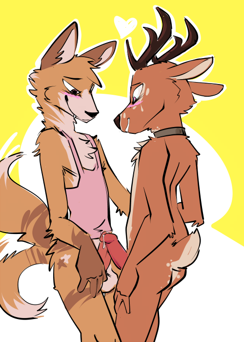 2021 anthro anthro_on_anthro antlers balls blush bottomless canid canine cantio_(lawyerdog) cervid clothed clothing collar duo erection genitals head_tuft horn male male/male mammal nude panko_(lawyerdog) penis simple_background standing tailwag toxoglossa tuft white_background yellow_background