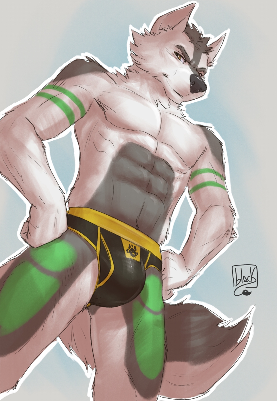 anthro blacklion21 bulge canid canine canis clothing hi_res hybrid jockstrap male mammal rogue_fang solo underwear wolfdog