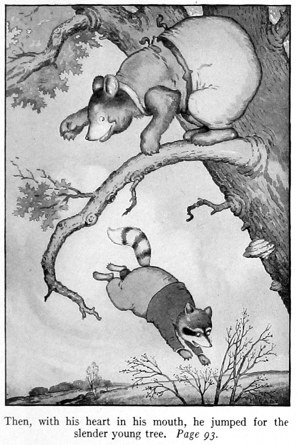 1918 20th_century ancient_furry_art anthro barefoot biped black_body black_fur bobby_coon bottomwear clothed clothing detailed_background duo english_text feet fully_clothed fungus fur greyscale harrison_cady hi_res in_tree leaf leaping looking_down male mammal monochrome open_mouth outside pants plant plantigrade procyonid public_domain raccoon ringtail sky slightly_chubby text traditional_media_(artwork) tree ursid white_body white_fur