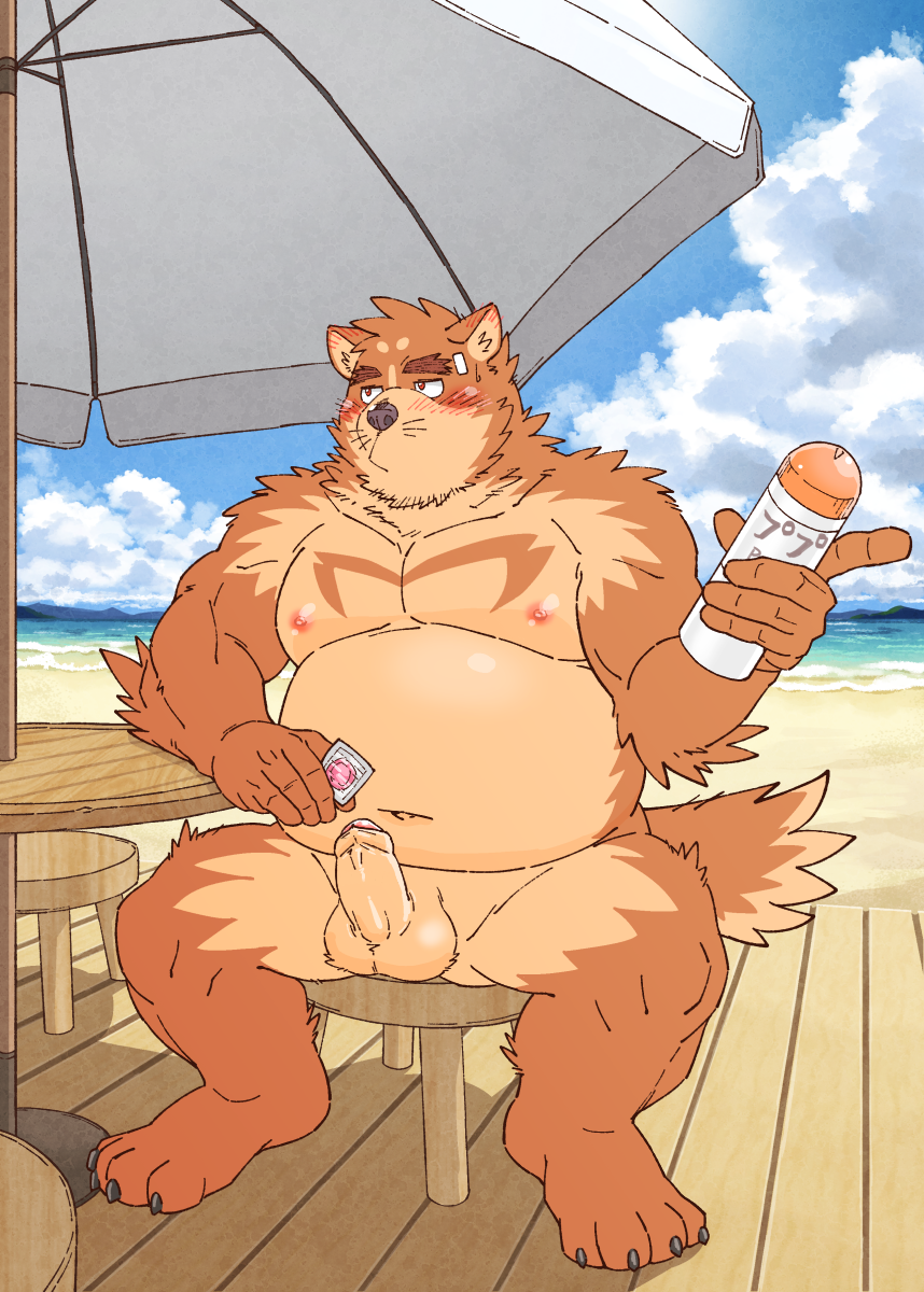 anthro balls beach belly blush brown_body brown_fur canid canine condom detailed_background edit erection fur genitals hi_res humanoid_genitalia humanoid_hands humanoid_penis japanese_text kemono male mammal moobs navel nipples outside overweight overweight_anthro overweight_male penis ryuta-h seaside sexual_barrier_device sitting solo text uncensored water