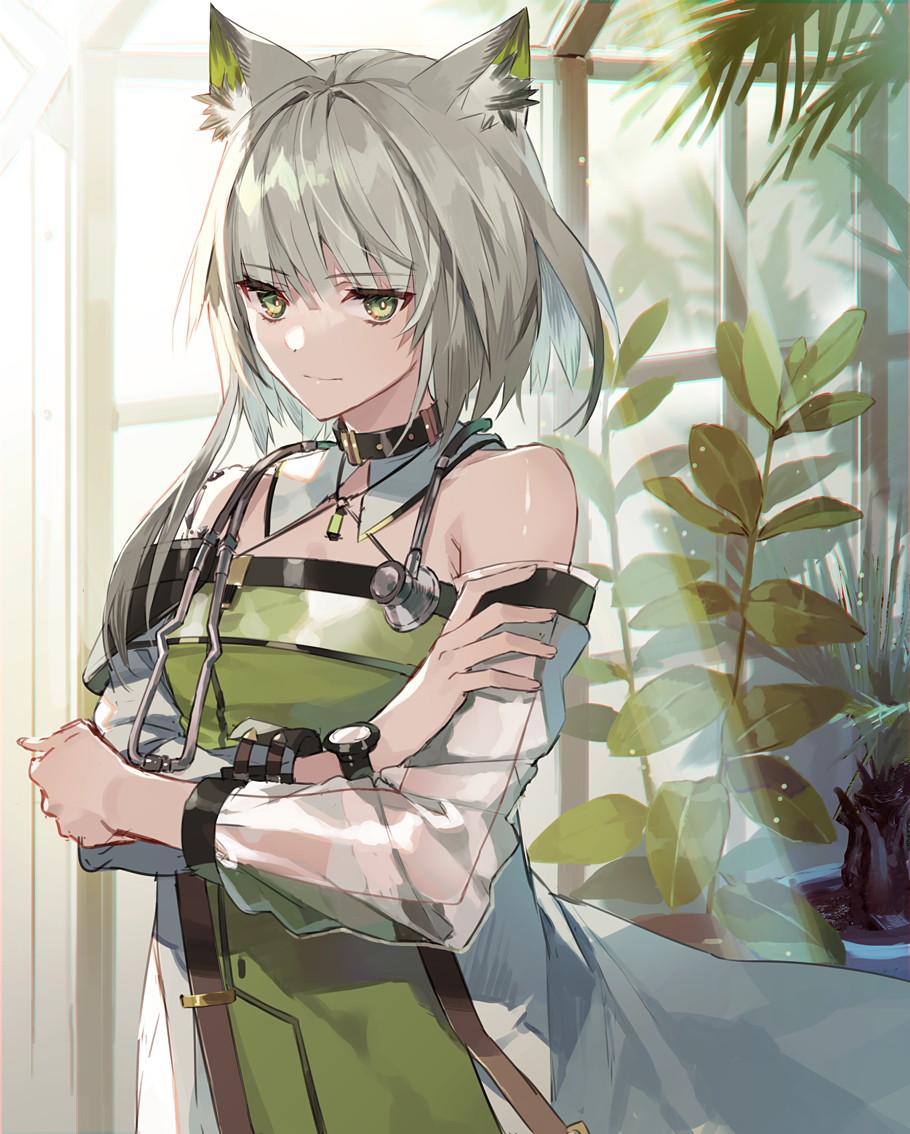 1girl animal_ear_fluff animal_ears arknights bangs bare_shoulders commentary_request dress eihi eyebrows_visible_through_hair green_dress green_eyes kal'tsit_(arknights) long_sleeves looking_at_viewer lynx_ears off-shoulder_dress off_shoulder plant short_hair silver_hair solo stethoscope upper_body