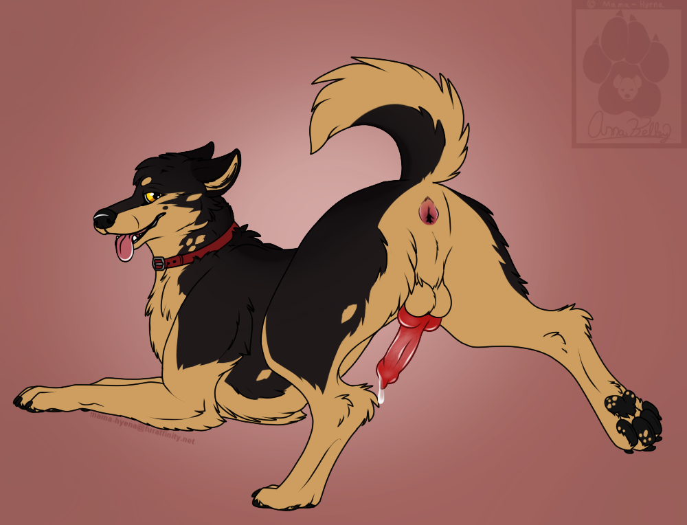 anatomically_correct anatomically_correct_genitalia anatomically_correct_penis animal_genitalia animal_penis anus ass_up balls bodily_fluids breath butt canid canine canine_penis canis collar domestic_dog dripping feral fur genital_fluids genitals german_shepherd herding_dog knot looking_back male mama-hyena mammal panting pastoral_dog pawpads paws penis precum precum_drip presenting presenting_anus presenting_hindquarters presenting_penis quadruped raised_leg raised_tail signature solo solo_focus watermark ych_result