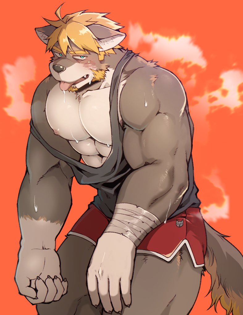 2021 abs anthro biceps bottomwear canid canine canis clothed clothing domestic_dog facial_hair fur hair m_ikky m_ikky_0 male mammal muscular muscular_anthro muscular_male nipples pecs shirt shorts simple_background solo tank_top topwear