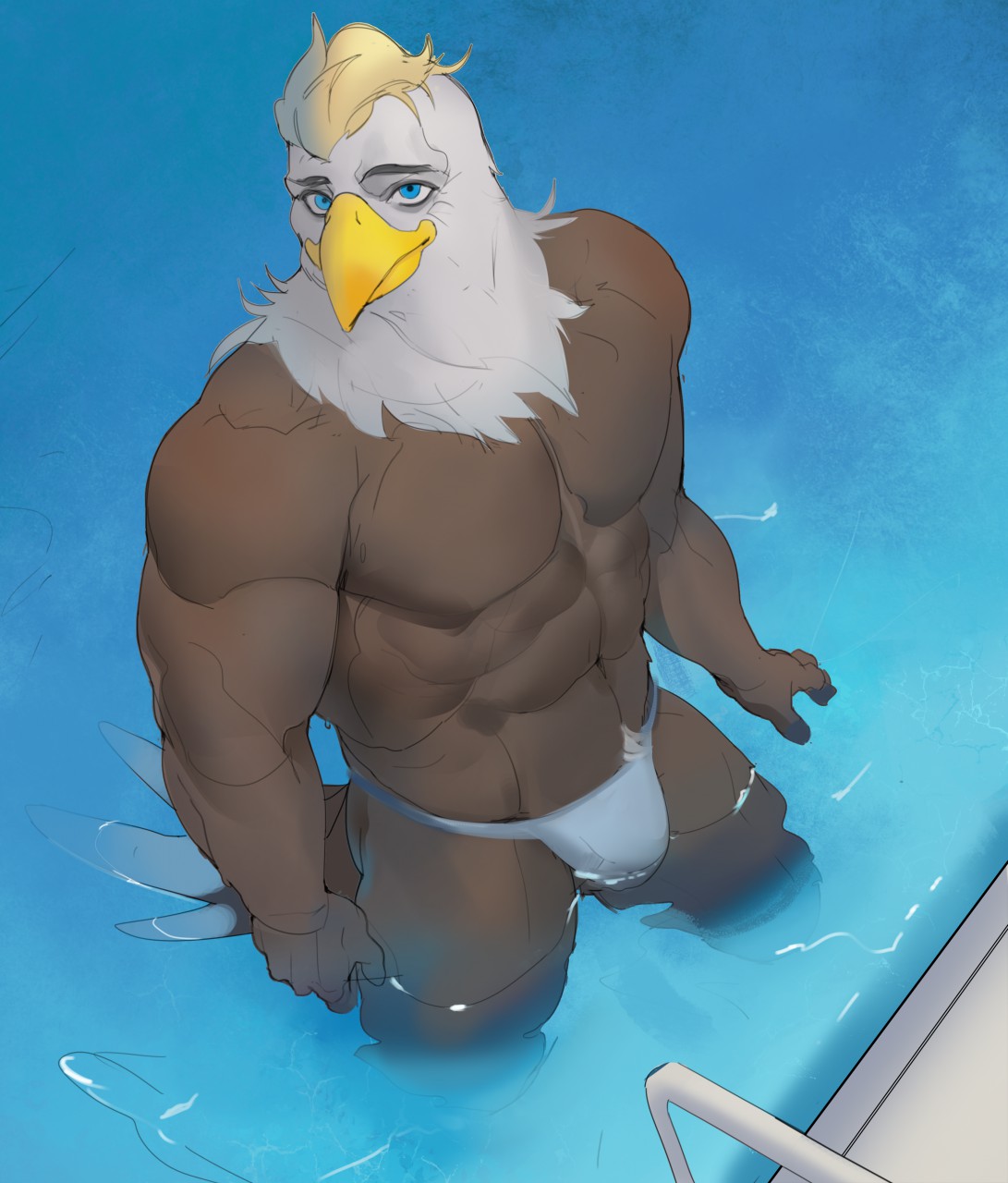 2020 5_fingers abs accipitrid accipitriform anthro avian bald_eagle beak biceps bird black_body black_feathers blonde_hair blue_eyes brown_body brown_feathers bulge clothed clothing digital_media_(artwork) driedwarek eagle feathers fingers front_view hair hi_res high-angle_view looking_at_viewer male mighty_raptor_(corvuscantum) multicolored_body multicolored_feathers muscular muscular_anthro muscular_male partially_submerged pecs quads sea_eagle shaded skimpy solo speedo standing swimming_pool swimwear tail_feathers thick_thighs topless water white_body white_feathers
