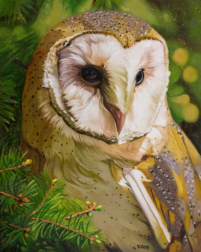 ambiguous_gender avian barn_owl beak bird feral masked_owl oil_painting_(artwork) owl painting_(artwork) realistic solo traditional_media_(artwork) tytonid yuezeng-mn