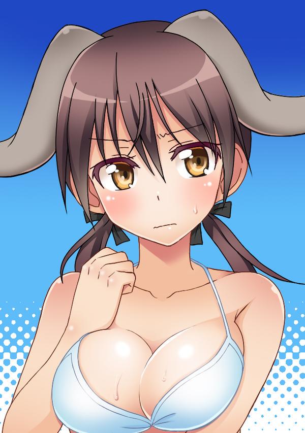 1girl animal_ears bangs bikini black_ribbon blue_background blush breasts brown_eyes brown_hair cleavage closed_mouth commentary_request dog_ears embarrassed eyebrows_visible_through_hair frown gertrud_barkhorn hair_ribbon halterneck kondou_ryunosuke large_breasts looking_at_viewer low_twintails medium_hair partial_commentary ribbon solo strike_witches sweat sweatdrop swimsuit twintails white_bikini world_witches_series