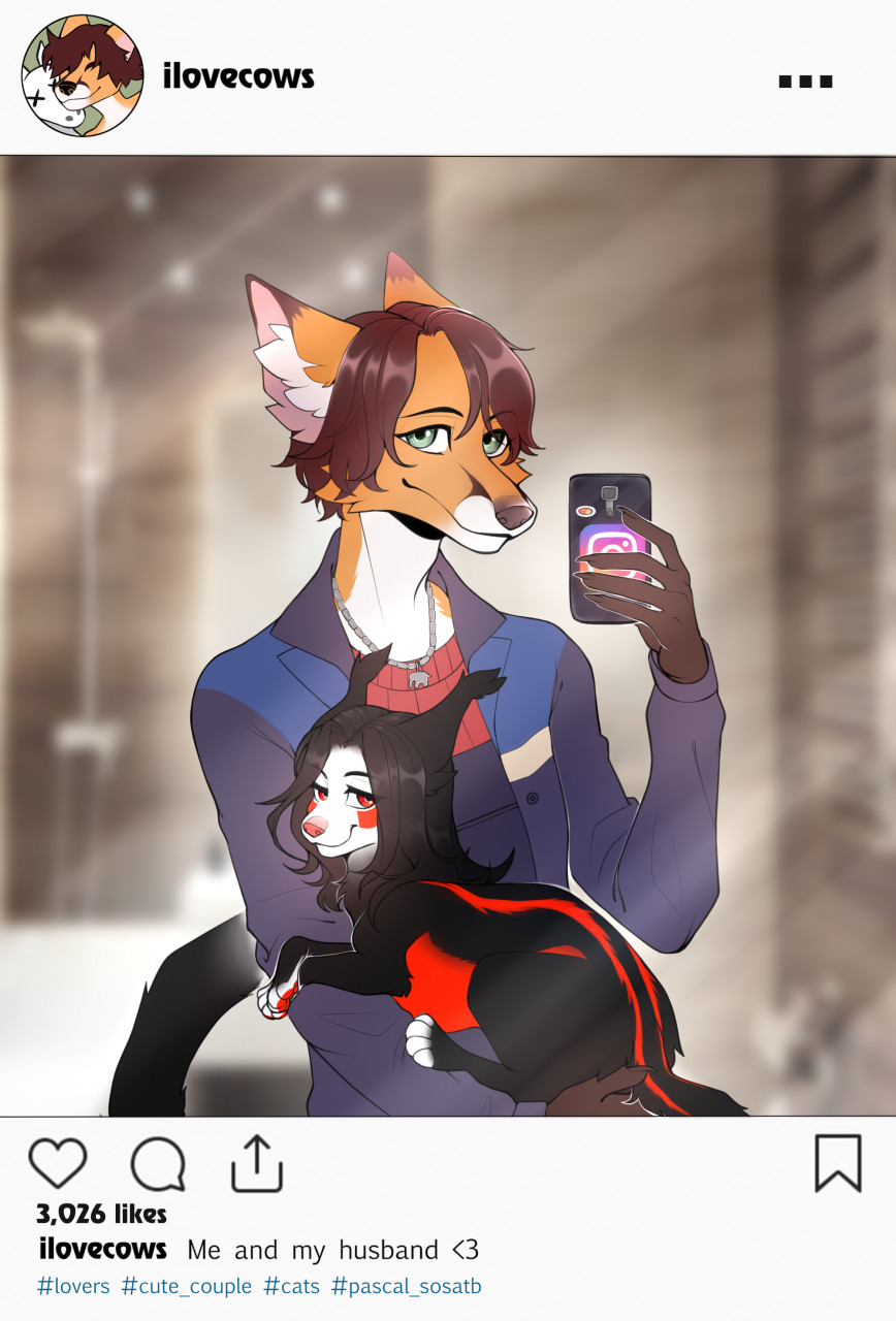 2020 anthro canid canine canis cellphone clothed clothing digital_media_(artwork) domestic_cat duo english_text erwin_wolz felid feline felis feral fox hair hi_res holding_object inner_ear_fluff instagram looking_at_viewer male mammal pascal_(jeffusherb) pawpads phone portrait red_hair red_pawpads selfie simple_background smile standing text the_pigeon topwear tuft