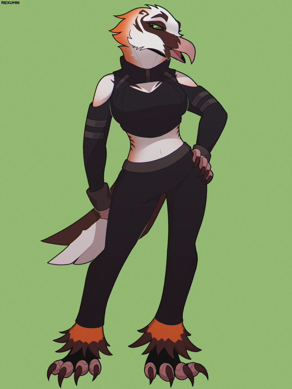 3:4 accipitrid accipitriform anthro avian beak bearded_vulture bird bottomwear breasts claws clothed clothing feathers female green_eyes hand_on_hip hi_res midriff non-mammal_breasts old_world_vulture pants rexumin solo tail_feathers vulture