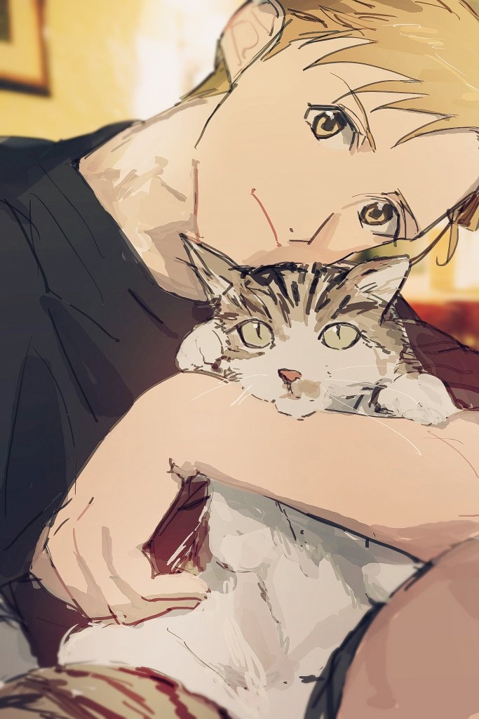 1boy alphonse_elric animal arm_support backlighting bangs biiko_(king1015g) black_shirt black_shorts blonde_hair blurry blurry_background cat closed_mouth elbow_on_knee fullmetal_alchemist green_eyes head_tilt holding holding_animal holding_cat indoors knee_up light_smile looking_at_viewer male_focus paws picture_frame shiny shiny_hair shirt shorts slit_pupils swept_bangs tareme wall whiskers yellow_eyes