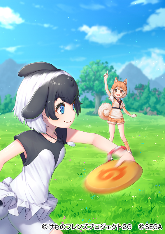2girls afterimage animal_ears bike_shorts bike_shorts_under_skirt black_hair black_shirt blowhole blue_eyes brown_legwear brown_shorts brown_vest collared_shirt commerson's_dolphin_(kemono_friends) curled_tail dog_(kemono_friends) dog_ears dog_girl dog_tail dolphin_girl dorsal_fin eyebrows_visible_through_hair frisbee fur_trim harness jewelry kemono_friends kemono_friends_3 kemono_friends_3:_planet_tours light_brown_hair multicolored_hair multiple_girls necklace necktie official_art orange_eyes pensuke shirt short_shorts shorts skirt sleeveless socks tail throwing two-tone_hair two-tone_shirt vest white_fur white_hair white_shirt white_shorts white_skirt