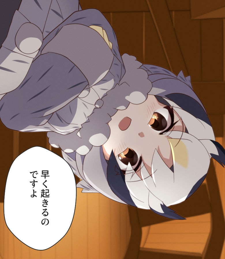 blonde_hair blush coat commentary_request crossed_arms eyebrows_visible_through_hair from_below fur_collar fur_trim gloves grey_hair hair_between_eyes hakusai_o_m_t kemono_friends long_sleeves looking_at_viewer multicolored_hair northern_white-faced_owl_(kemono_friends) orange_eyes pov short_hair speech_bubble translated white_fur white_hair winter_clothes winter_coat yellow_gloves