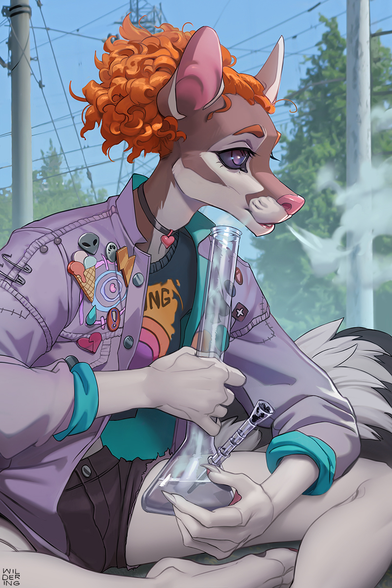 2:3 5_fingers anthro bong breasts canid canine clothed clothing day detailed_background drugs eyebrows eyelashes female fingers hair hi_res izzy_(wildering) mammal outside sky solo wildering