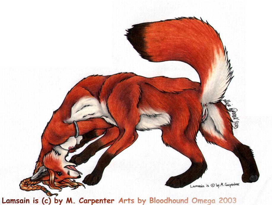 2003 anus bloodhound_omega breasts brown_hair canid canid_taur canine canine_taur conditional_dnp dipstick_tail female fox fox_taur fur genitals gloves_(marking) hair lamsain leg_markings mammal mammal_taur markings multicolored_tail navel nipples pussy red_body red_fur simple_background socks_(marking) solo taur white_background