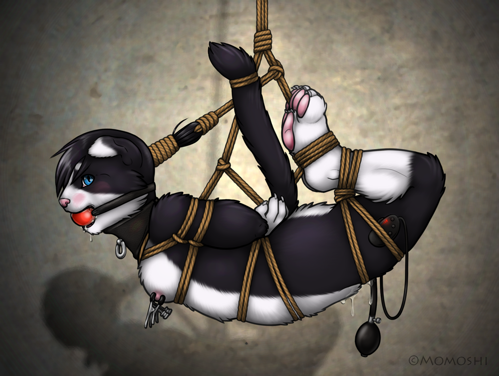2014 ankles_tied anthro areola arms_tied ball_gag bangs bdsm biped black_body black_fur black_hair blue_eyes blush bodily_fluids bondage bound breasts brown_rope claws collar collar_ring countershade_torso countershading digital_media_(artwork) dipstick_ears domestic_cat dripping drooling facial_markings feet_tied felid feline felis female foxing_demon_(character) frogtied fur gag gagged genital_fluids gloves_(marking) hair hair_tied hands_behind_back head_markings inflatable_sex_toy leg_markings legs_tied m0m0shi mammal markings mask_(marking) multicolored_body multicolored_ears multicolored_fur nipple_clamp nipples pawpads pink_areola pink_nipples pink_nose pink_pawpads pupils pussy_juice pussy_juice_drip raised_tail red_ball_gag rope rope_bondage rope_harness saliva sex_toy shaded shadow signature simple_background small_breasts socks_(marking) solo submissive submissive_anthro submissive_female suspension suspension_bondage tail_tied text toe_claws two_tone_body two_tone_fur vibrator white_body white_fur