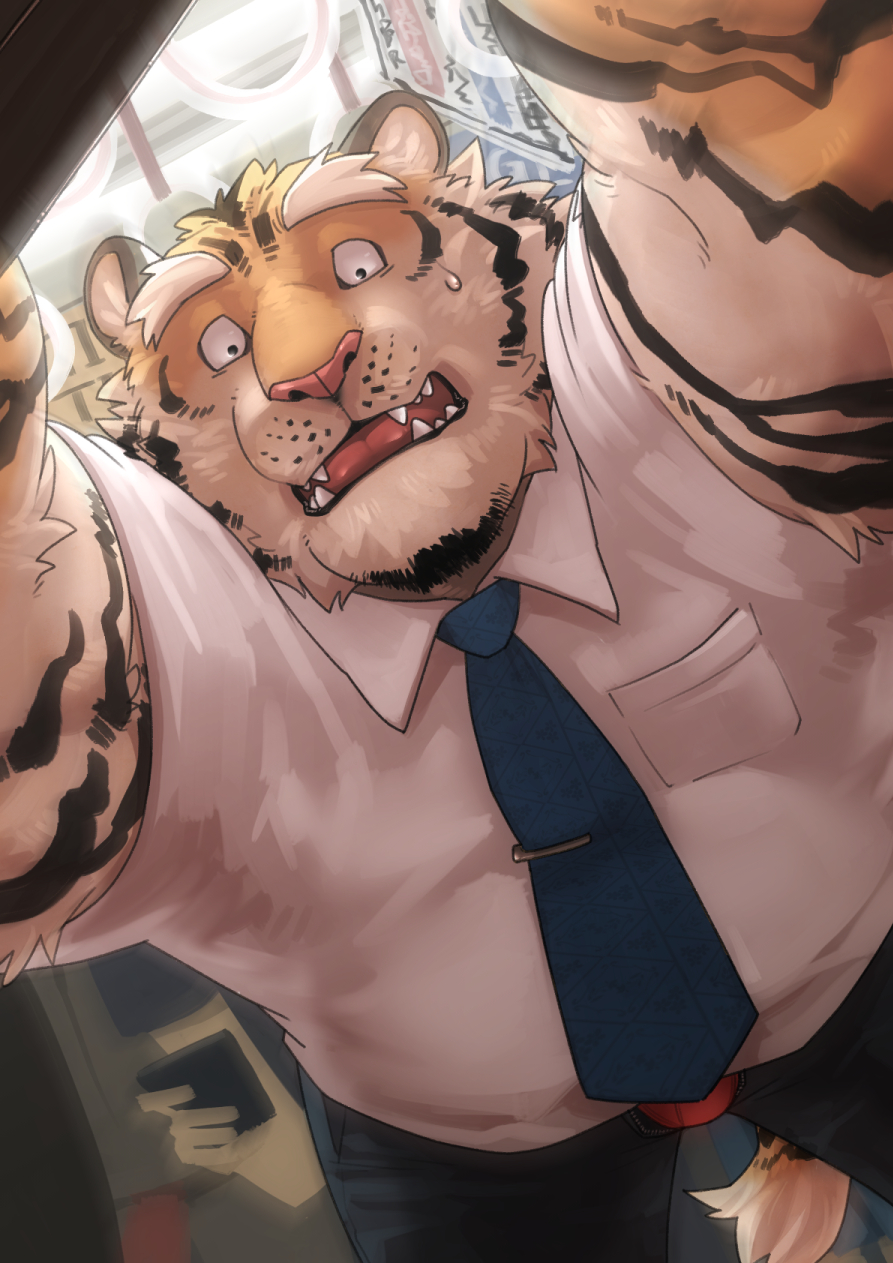 2021 anthro belly bodily_fluids bottomwear bulge clothing felid hi_res inside inside_train kemono kotori male mammal necktie overweight overweight_male pantherine pants shirt solo_focus sweat tiger topwear underwear